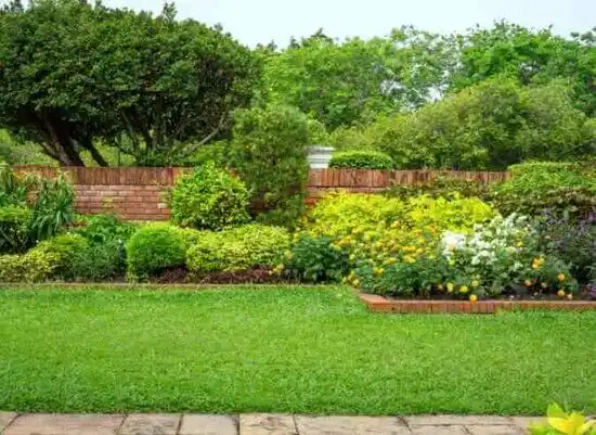 landscaping services Lucama